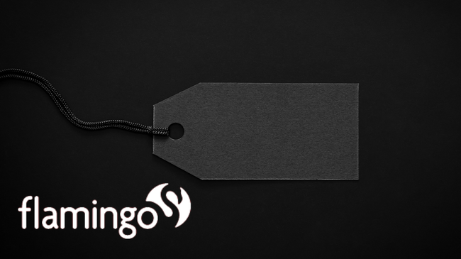 Crédito Flamingo ¿Qué es? ¿Cómo funciona? Requisitos - Opiniones